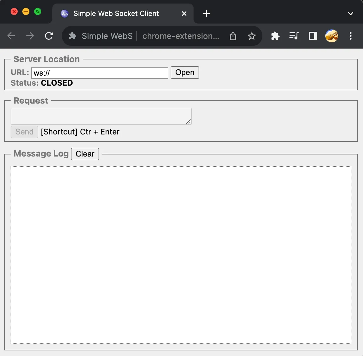 simple websocket client